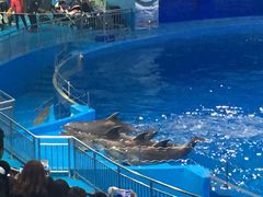 -多彩贵州城极地海洋世界