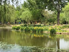 -东郊湿地公园