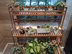 -华雅·云缦酒店(岳阳楼区火车站店)