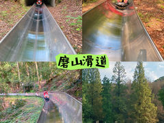 -东湖磨山景区
