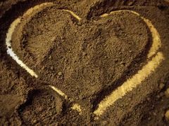 -美丽心情蛋糕(江苏路店)