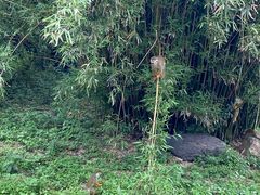 -宁波野生动物园