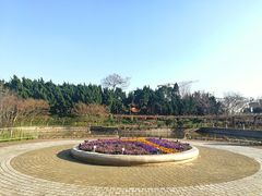 -嘉定紫藤园