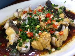 -全乐鱼馆·淳牌有机鱼直营店
