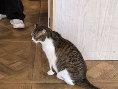 -LOOKA COFFEE(大鹏所城店)