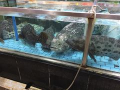 -渔民新村(番禺总店)