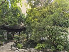 -上海醉白池公园