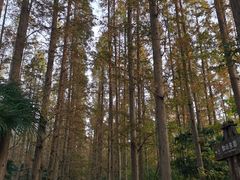 -上海怡沁园度假酒店