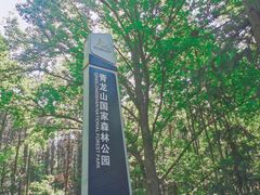 -青龙山国家森林公园