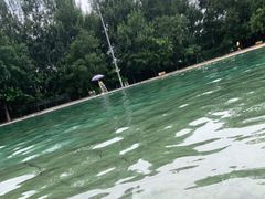 -柳浪游泳场