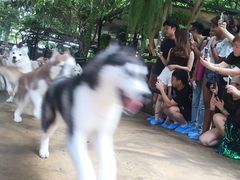 -TrueLove @ Neverland (Husky Cafe)