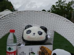 -三圣花乡旅游区