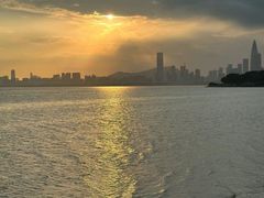 -深圳湾公园(南山区)