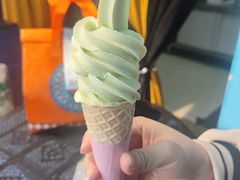 -萨朗刀克冰淇淋雪花凉(植物园店)