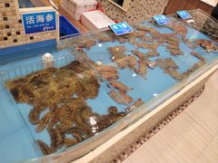 -双井轩(双井店)