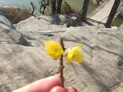 -翰园碑林