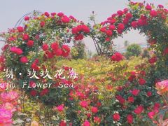-花亭湖风景名胜区