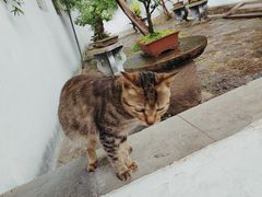 -西园戒幢律寺