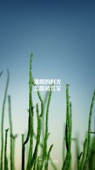 -莫莉幻想儿童乐园(北京昌发展万科店)