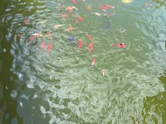 -安溪清水岩