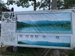 -田野绿世界