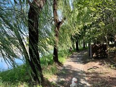 -广富林郊野公园