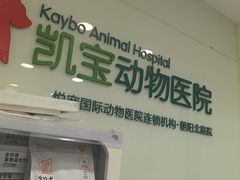 -悦宠凯宝动物医院·牙科·皮肤科(朝阳北路店)