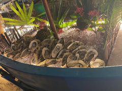 -亚龙湾希尔顿自助餐厅·海鲜·烧烤·沙滩BBQ·现场乐队
