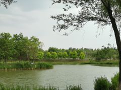 -东郊湿地公园