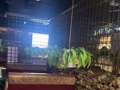 -天山醉美辣子鸡(文艺路店)