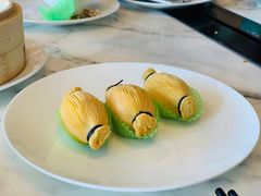 -唐阁海景中餐厅·早茶·粤菜•生日聚餐(海口朗廷酒店)