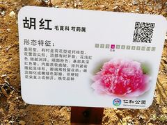 -仁和公园(顺义区)
