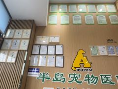 -半岛宠物医院24小时·内窥镜·牙科·碎石中心(府城大道店)