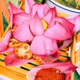 普者黑美食之——荷花宴