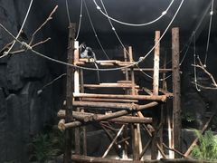 -武汉动物园