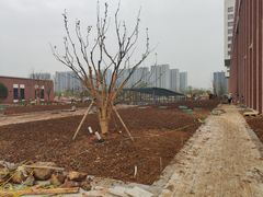 -咕嘟草帽鱼·牛奶一样的鲜鱼汤(天鹅湖万达广场店)