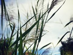-春风习习