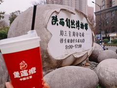 -陕西自然博物馆