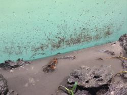 点击看大图 -Zoolung Zoolung动物主题公园(海信广场店)