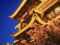 -叶叶菩提(太原别墅店)