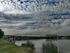 -灞河西岸滨河公园