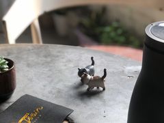 -Tian品