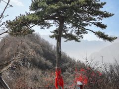 -秦岭终南山世界地质公园翠华山景区