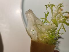 -有锞私房菜(良乡大学城店)