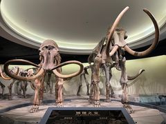 -大庆市博物馆