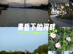 -金鸡湖景区