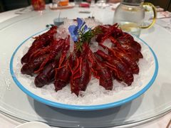 -杨氏青龙虾·羊蝎子(金盛路总店)