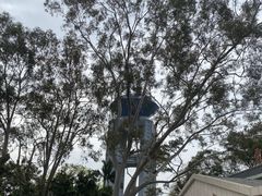 -白云山风景名胜区