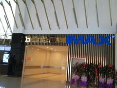 android_upload_pic-金逸影城(武汉人信汇IMAX店)