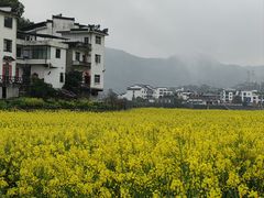 -新安江山水画廊风景区